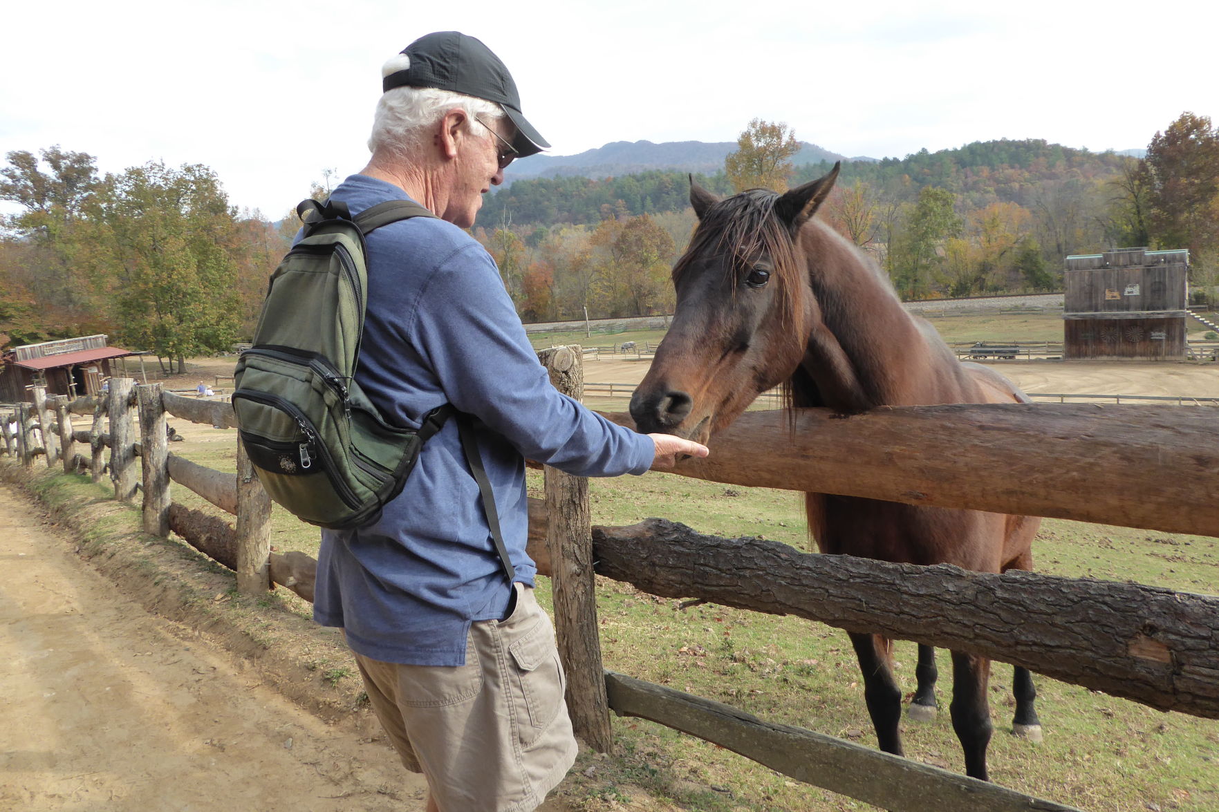 Tennessee dude ranch